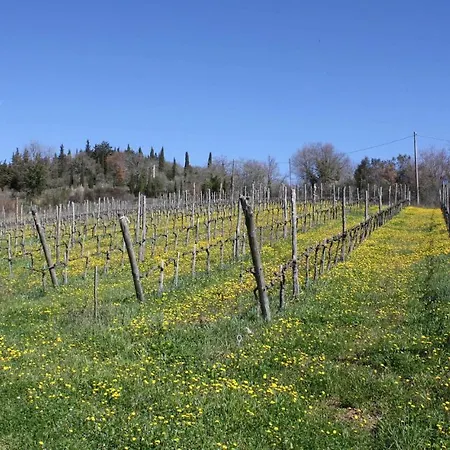 Pet Friendly In * Gaiole in Chianti
