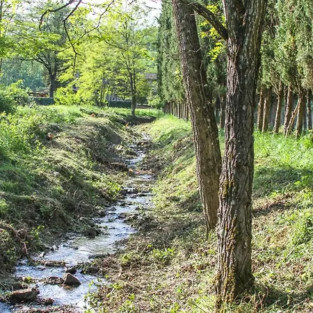 Pet Friendly In Gaiole in Chianti
